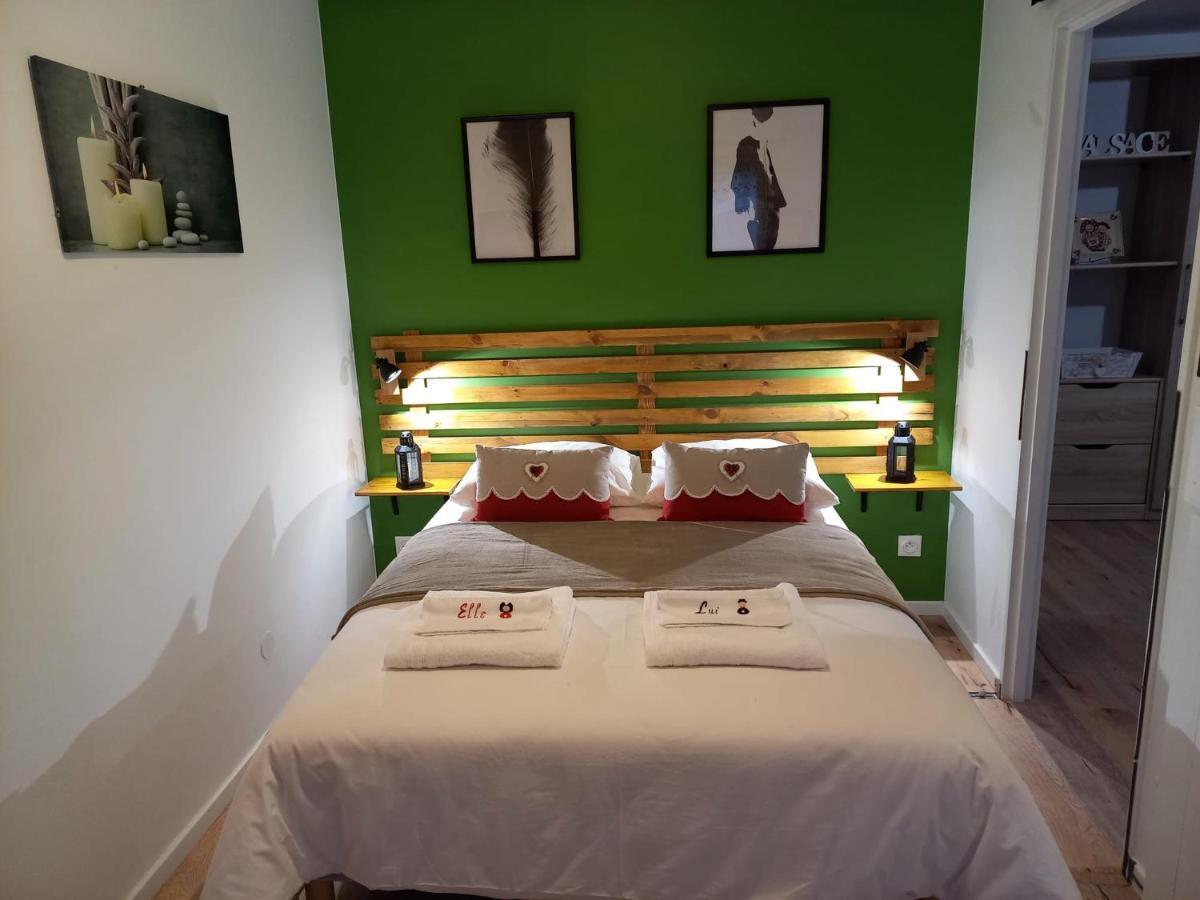 Le Passage Gite Cocooning A Colmar Centre Touristique Exterior foto